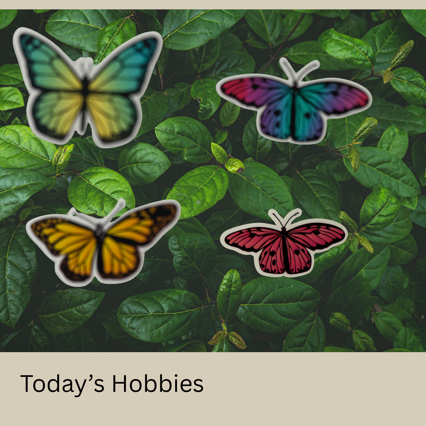 Premium weatherproof sticker pack featuring colorful butterfly designs by Today’s Hobbies