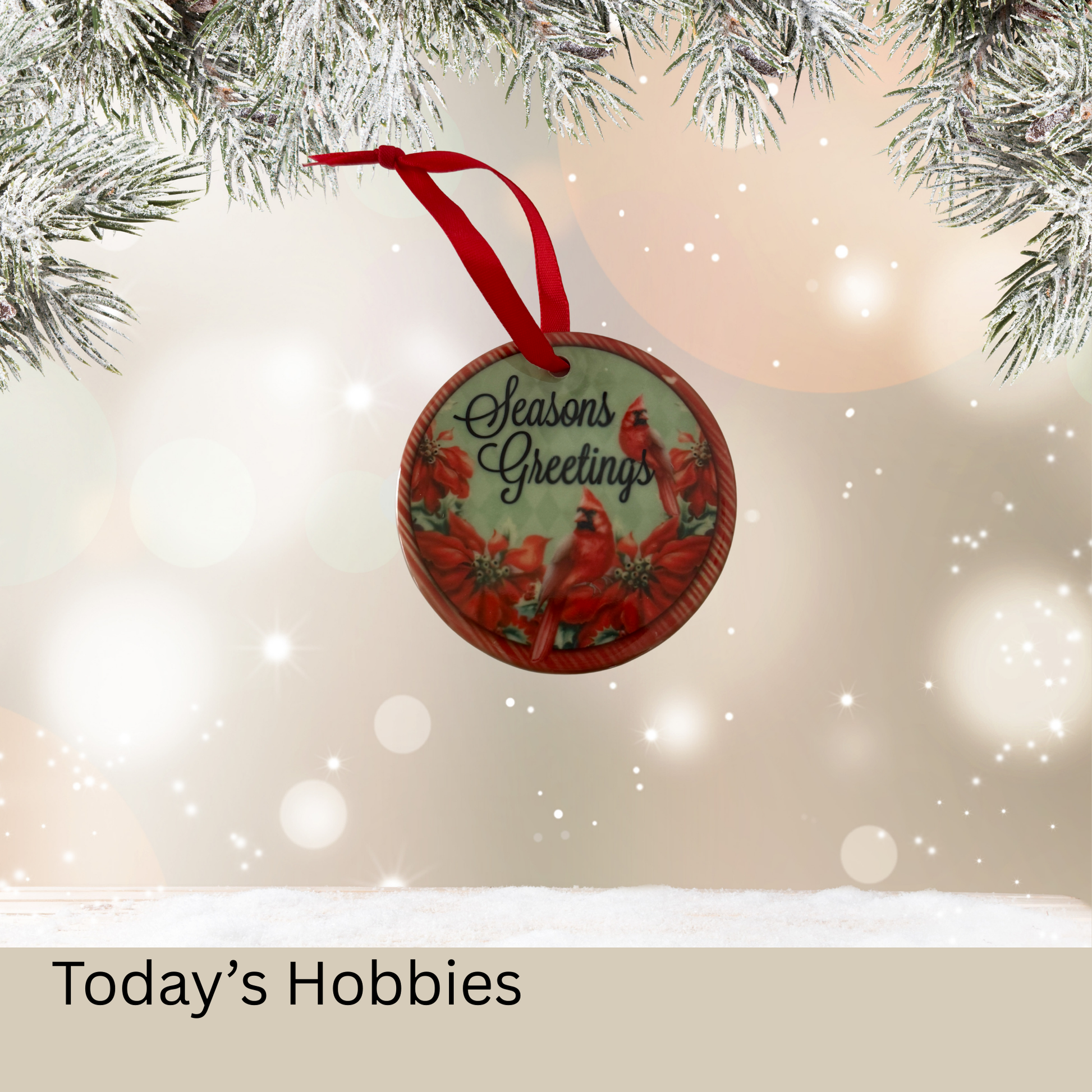 Today’s Hobbies sublimation glass handcrafted Christmas ornament for home with cardinal and poinsettia design